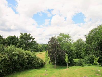 Picture 15